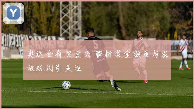 奥运会有奖金吗 解析奖金额度与发放规则引关注