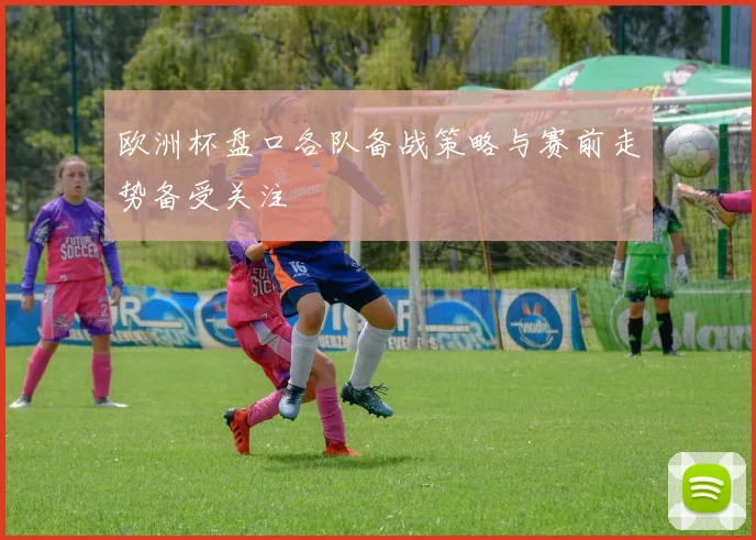 欧洲杯盘口各队备战策略与赛前走势备受关注