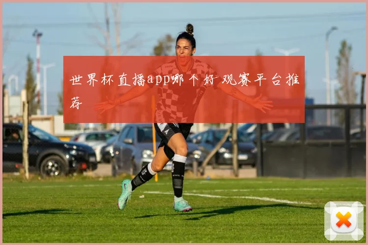 世界杯直播app哪个好 观赛平台推荐