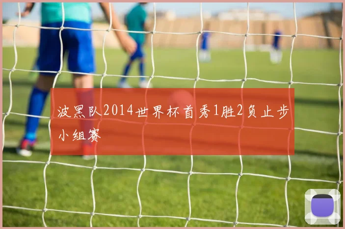波黑队2014世界杯首秀1胜2负止步小组赛