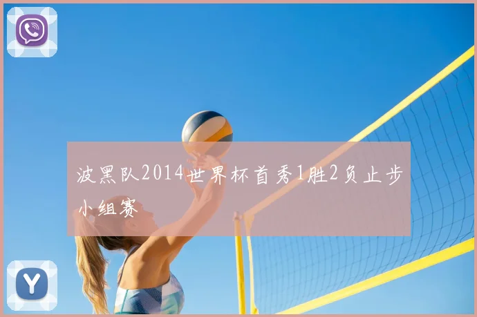 波黑队2014世界杯首秀1胜2负止步小组赛