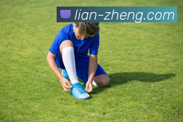 leyu乐涛官网地址发展历程